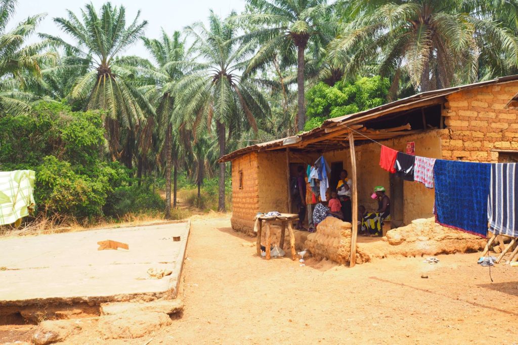 A small one storey house stands infront of palm trees in a rural village in Sierra Leone